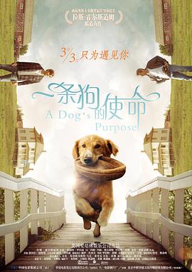 午夜av亚洲一码二中文字幕