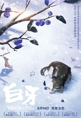 国产国拍亚洲精品福利