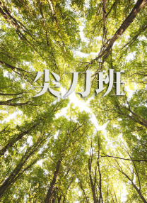 三级视频网
