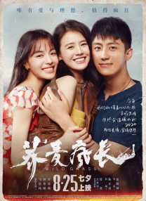 silk071日剧电视剧免费观看全集
