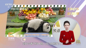 xvideos9
